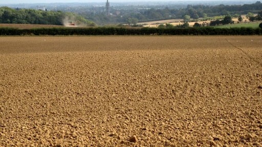 Over the fields to Louth