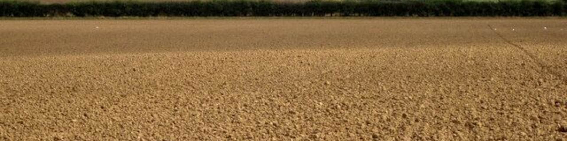 Over the fields to Louth