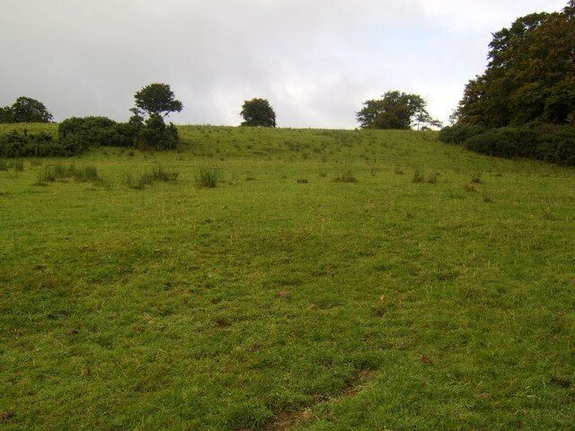 Rough moorland near Tullochan Farm Looking uphill to the forest boundary.