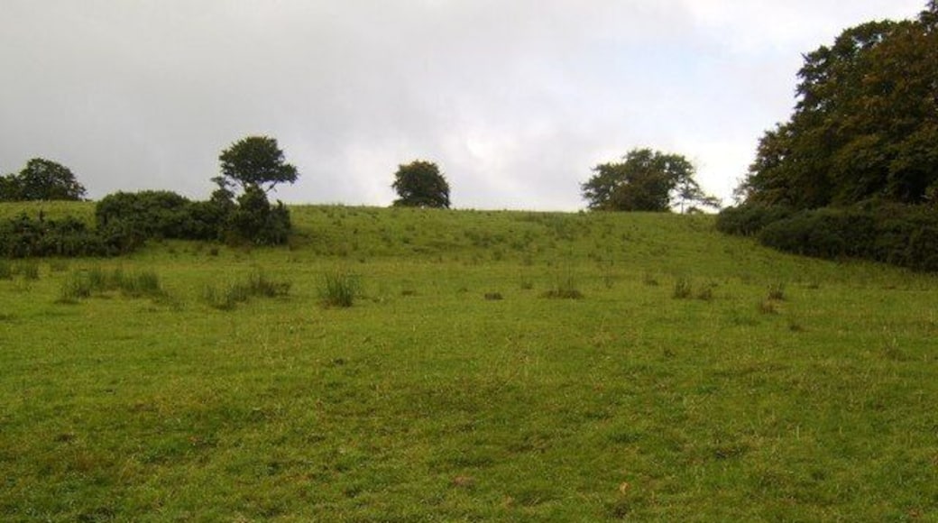 Rough moorland near Tullochan Farm Looking uphill to the forest boundary.
