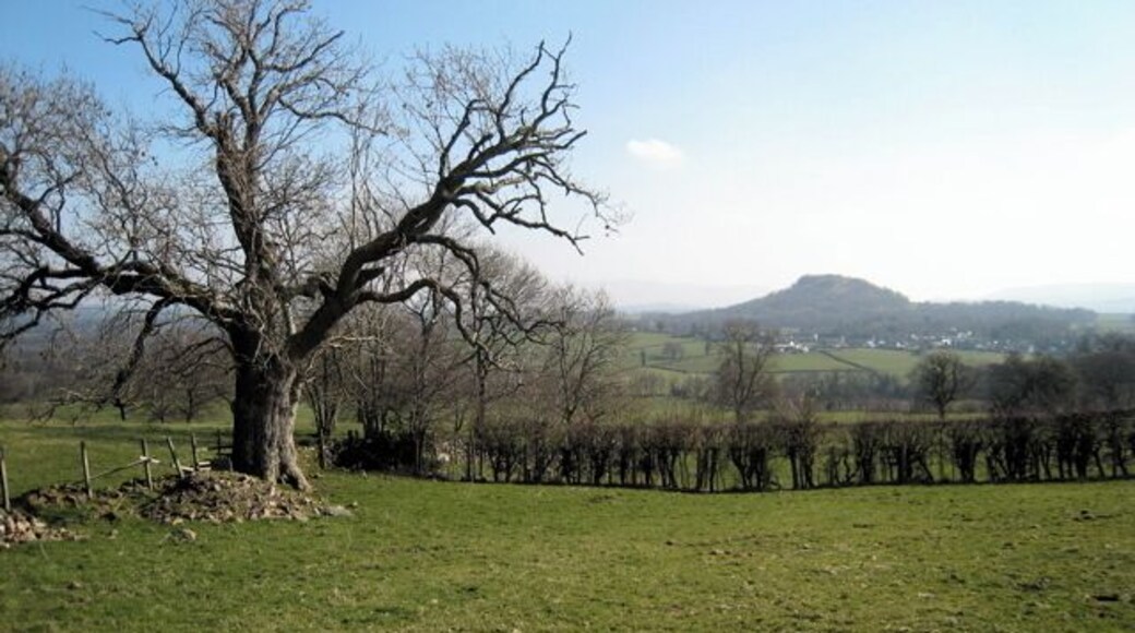 View towards Gartocharn Taken on way up to Ardoch Farmhouse