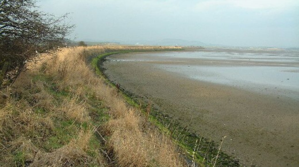 Coble Shore. Coastal reinforcement on the Eden Estuary