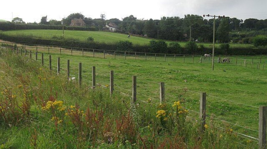 Approaching Guardbridge Land gently rising from the Eden estuary.