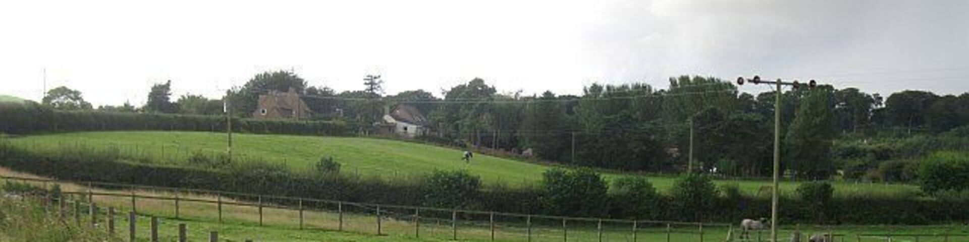 Approaching Guardbridge Land gently rising from the Eden estuary.