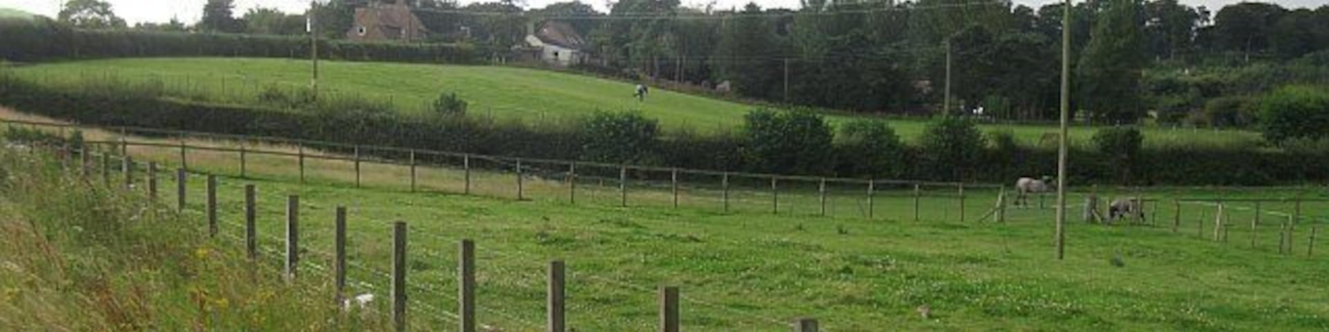 Approaching Guardbridge Land gently rising from the Eden estuary.