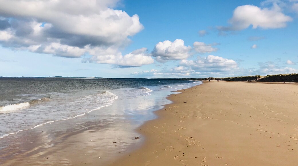 Findhorn