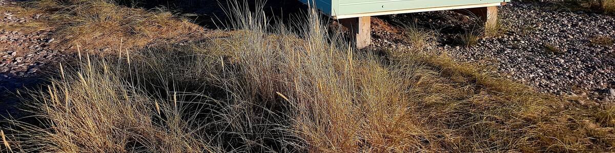Lovely little beach houses right by a stunning beach.