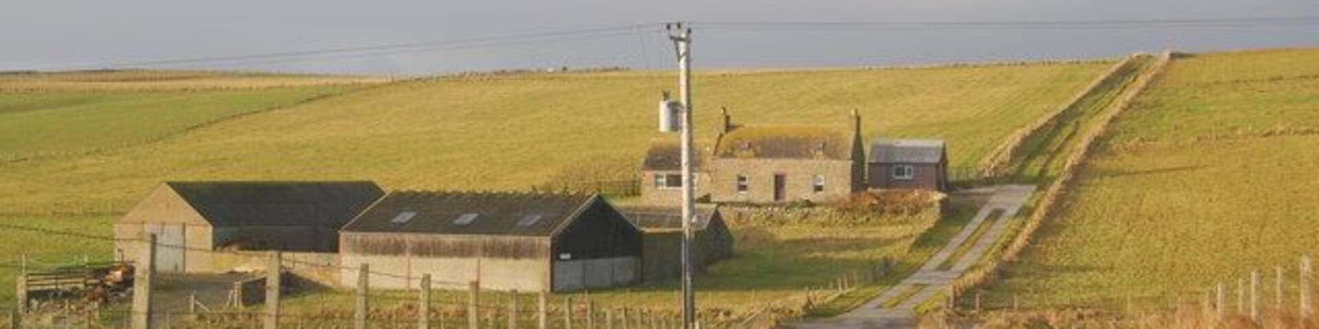 Bend in lane. The right handed bend in the lane running between St. Margaret's Hope and Lowertown. Heatherum beyond.