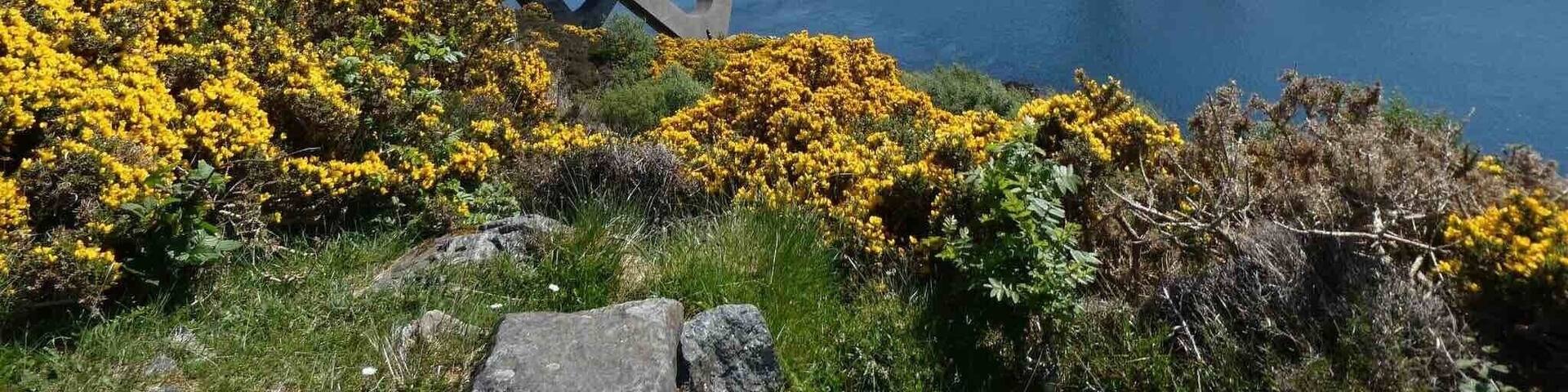 Kylesku Bridge in the Northern Highlands ...before the bridge was built you used to have to get a boat across...as much as I loved the bridge I think it would have been fun to do it the old way. Btw highly recommend the Kylescu Hotel....a welcome oasis in an otherwise barren but beautiful landscape