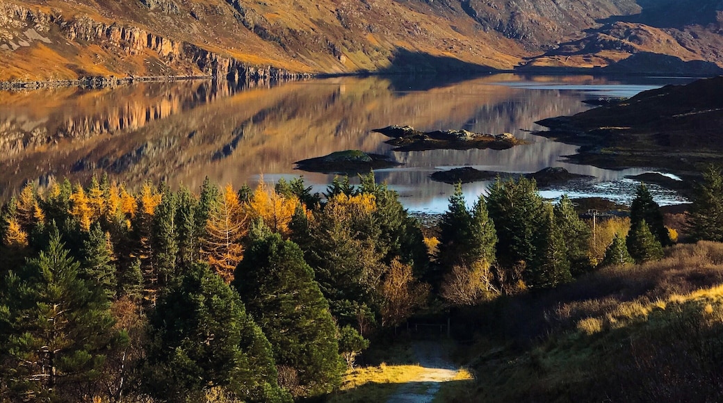 Beinn Aird da Loch scenery!