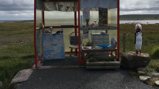 Every year the locals decorate this bus shelter. it's pretty cool!