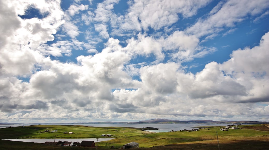 Looking out over Yellsound to the north mainland of Shetland.