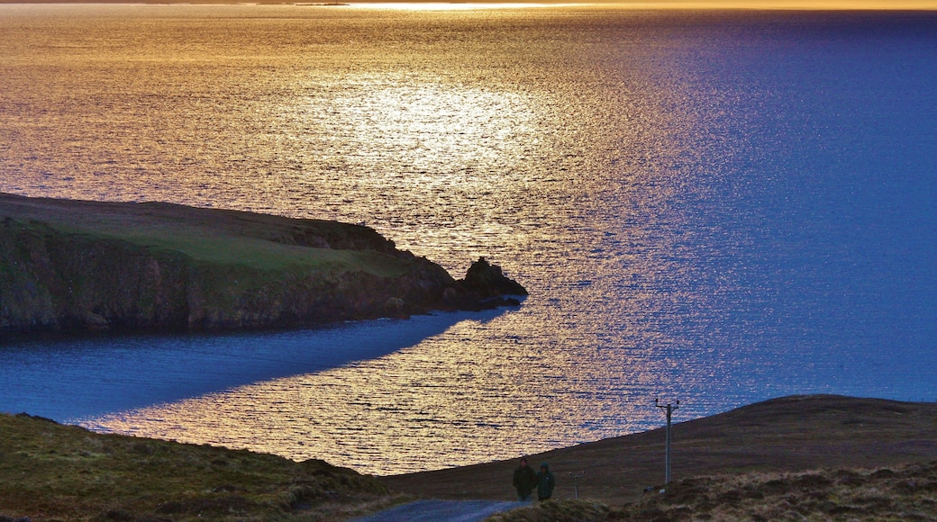 Evening Stroll IMG_8468