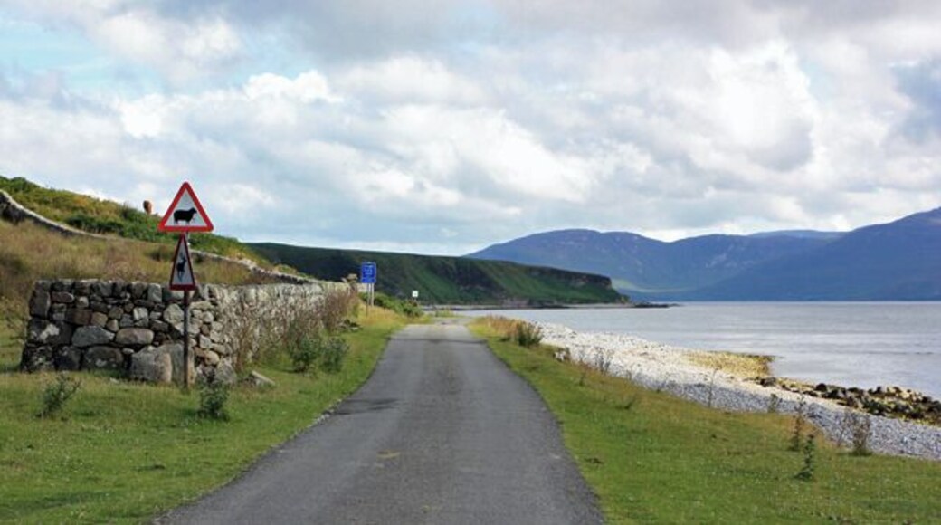 McDougal's Bay This is just south of the Feolin ferry terminal.