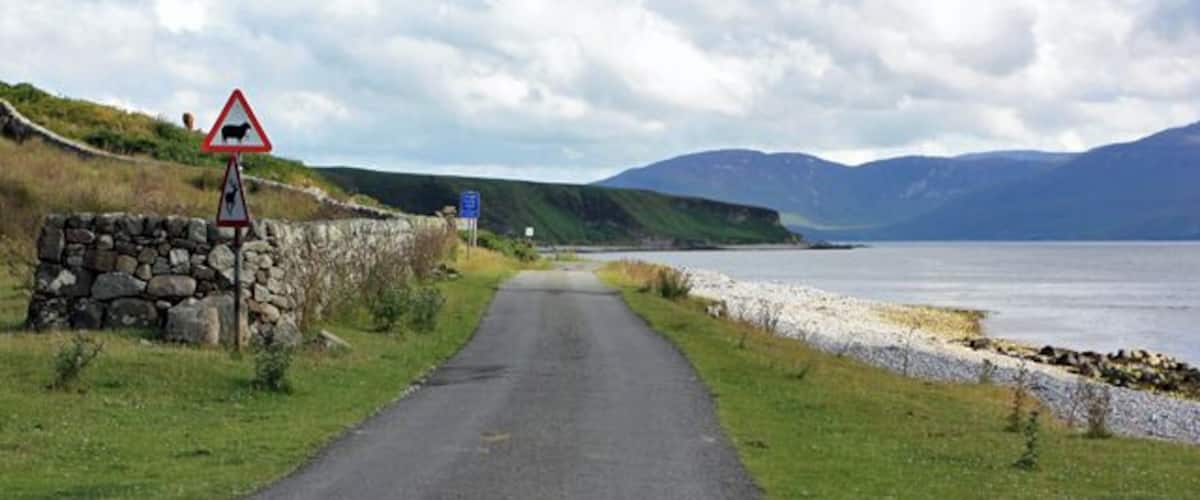 McDougal's Bay This is just south of the Feolin ferry terminal.