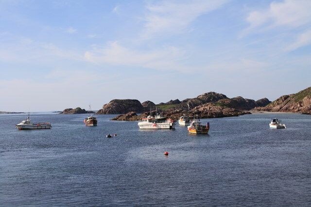 A coastal scene with several boats on calm waters, rocky cliffs in the background, and a clear sky.