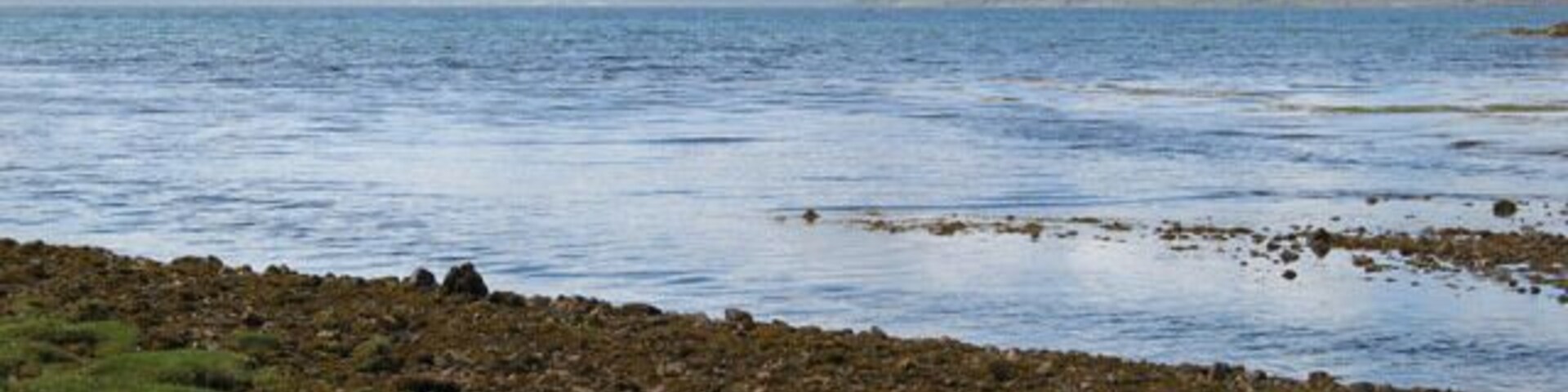 The green-keeper Grass-maintenance by zero carbon-footprint methods.