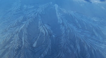 Frosted windscreen Feathery patterns in the ice on the windscreen of my van this morning - all melted away by the sun ten minutes later.