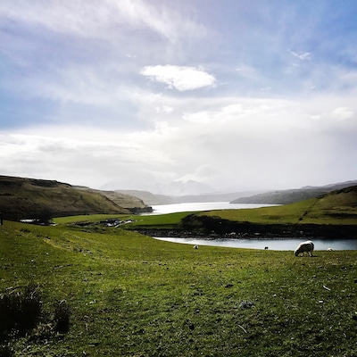 Road trip through isle of Skye, I could not believe that this place was real. #amidreaming #isleofskye #skye #spotthesheep #AquaTrove