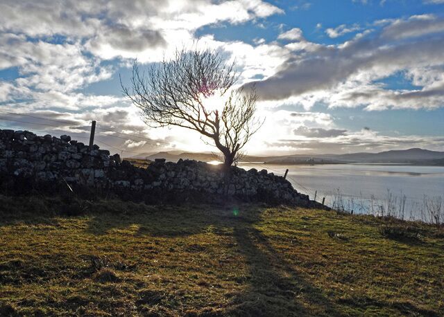 Drystane dyke below Iodhlann Dubh One of the walls of the old Kingsburgh estate that runs down to Loch Snizort Beag.