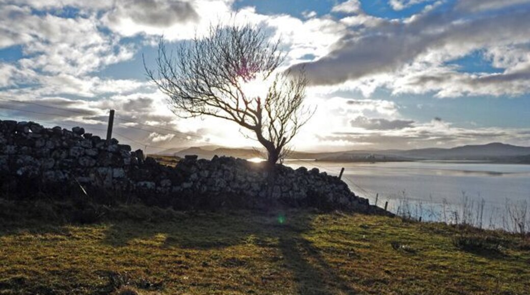 Drystane dyke below Iodhlann Dubh One of the walls of the old Kingsburgh estate that runs down to Loch Snizort Beag.