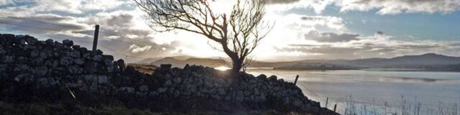 Drystane dyke below Iodhlann Dubh One of the walls of the old Kingsburgh estate that runs down to Loch Snizort Beag.