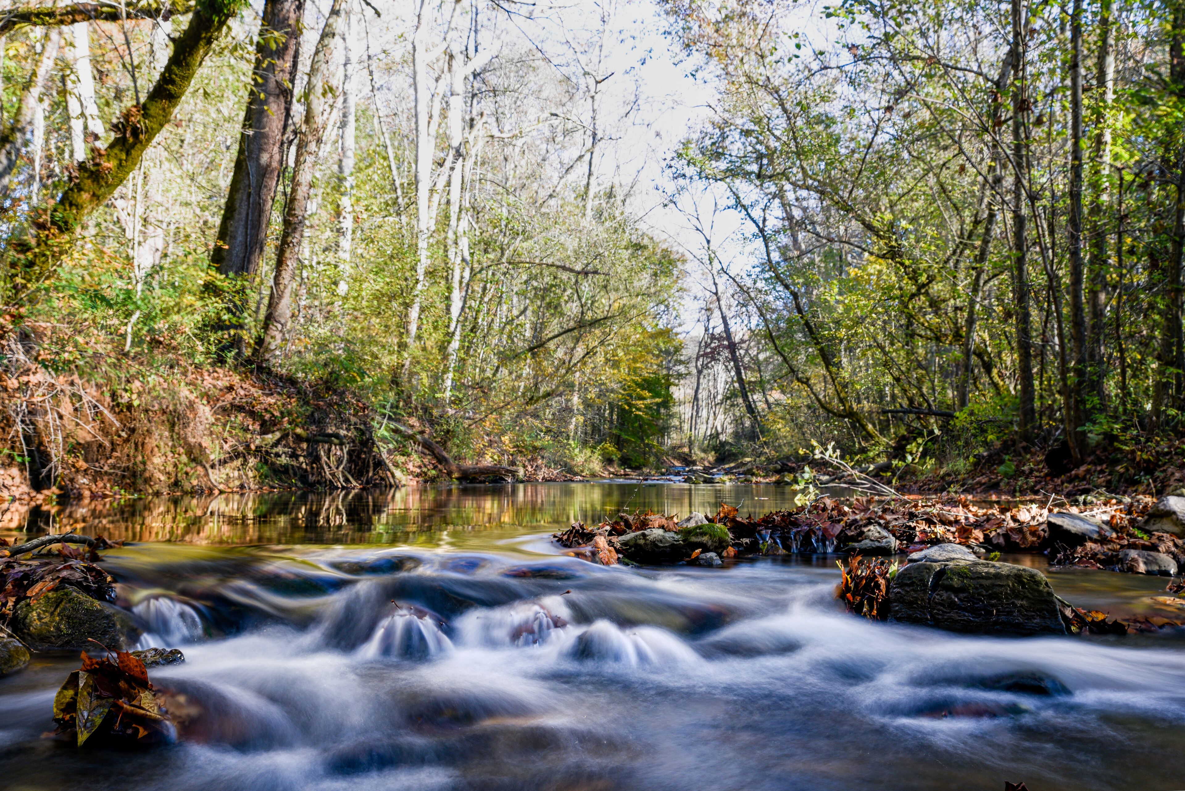 Buffalo Springs Tennessee
