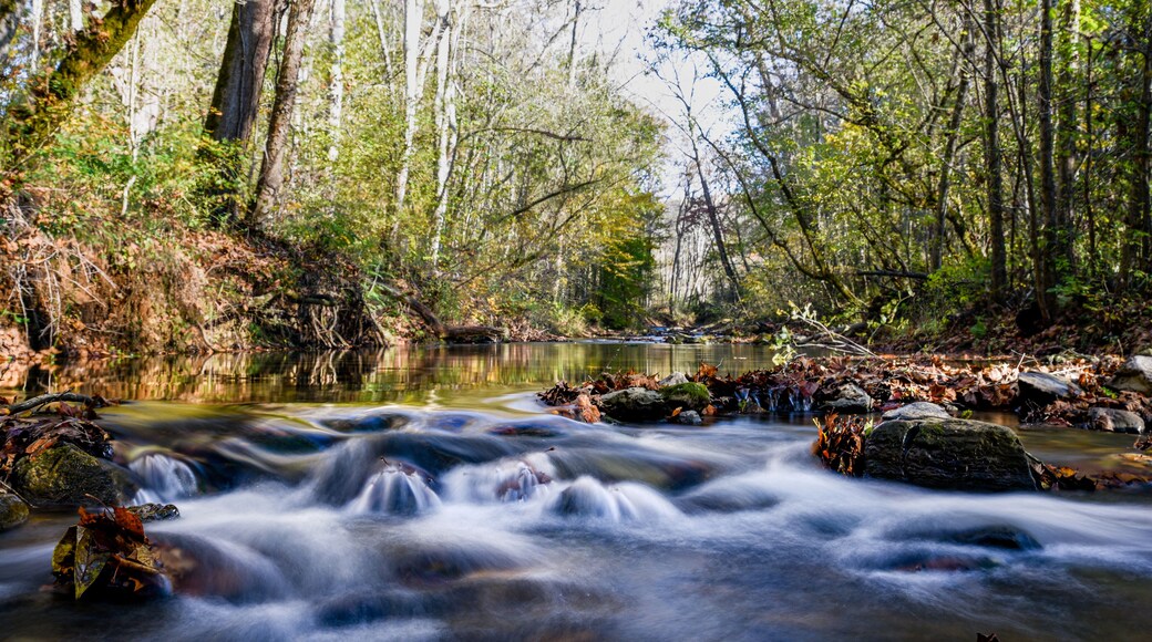 Buffalo Springs Tennessee