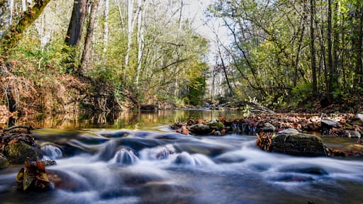 Buffalo Springs Tennessee