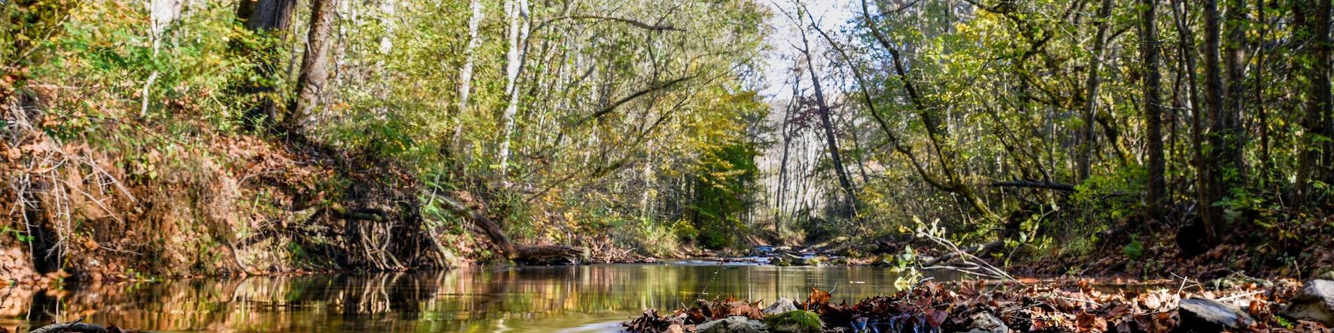Buffalo Springs Tennessee