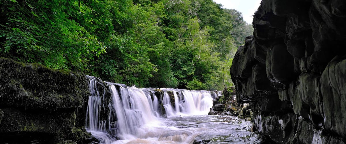 Una cascada se precipita sobre terreno rocoso rodeado de exuberante follaje verde.