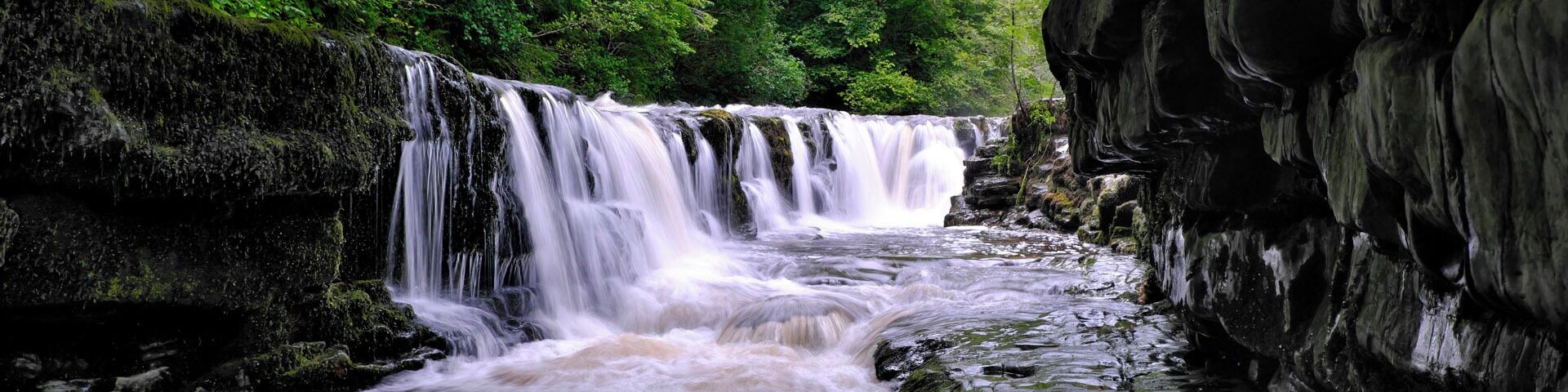 Una cascada se precipita sobre terreno rocoso rodeado de exuberante follaje verde.