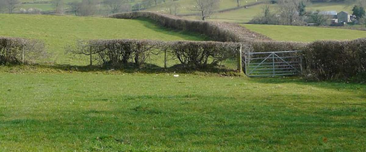 Pasture by the Afon Teifi near Llanddewi-Brefi, Ceredigion To the left of the thick hedge leading away over the grassy ridge is a (non-existent) "road used as a public path", now re-designated as a "restricted byway" - more accurate as it leads from a very narrow footbridge across the Afon Teifi.