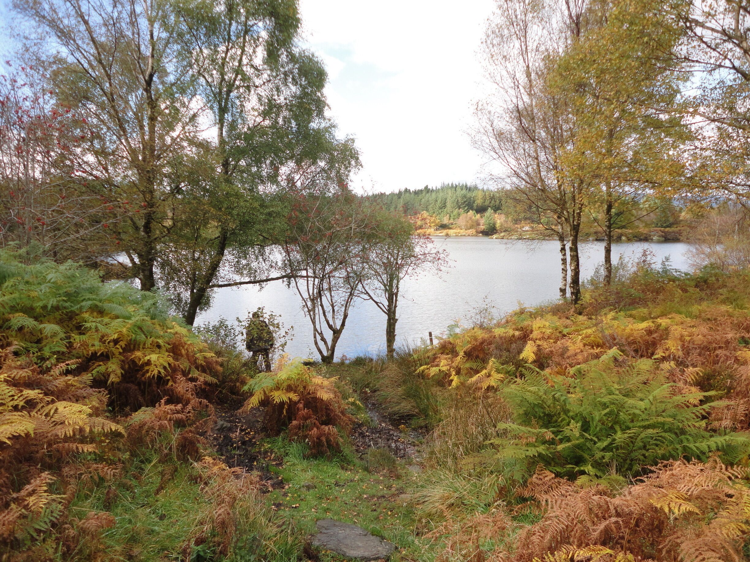 We went up this very steep hill through some woods and discovered this at the top. 