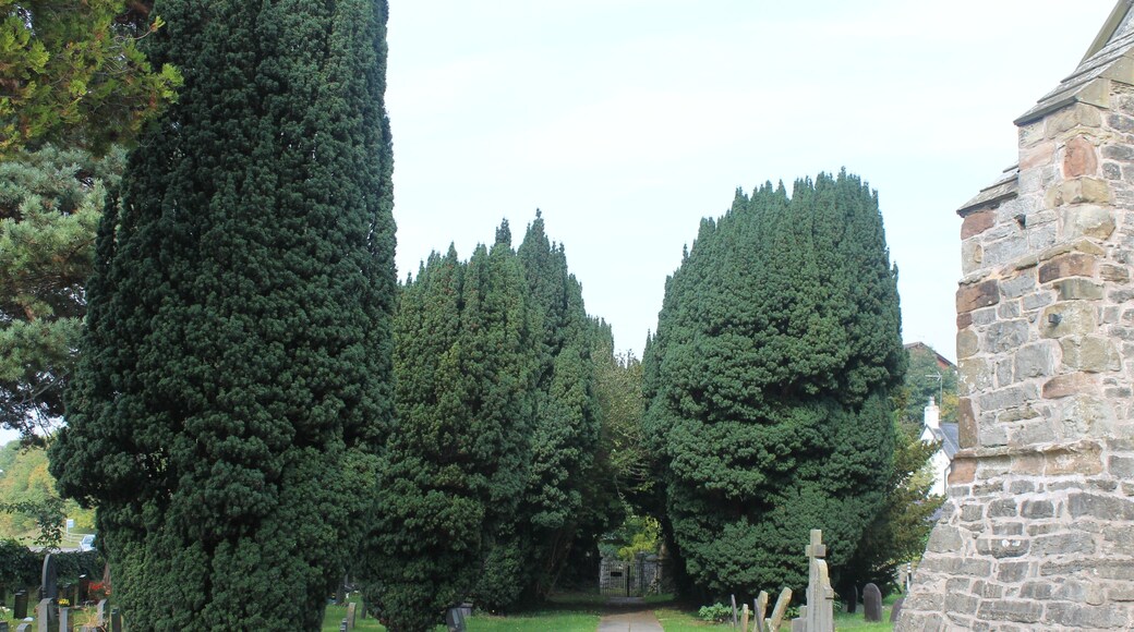 This is a photo of listed building number