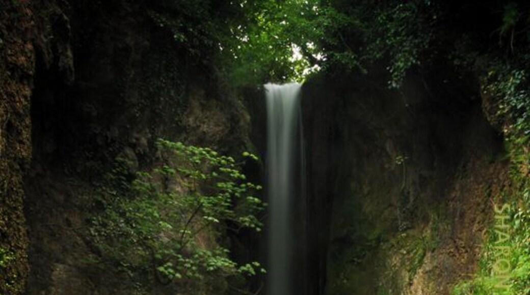 The Dyserth waterfall is 70 feet tall and is situated just a few metres from the roadside in the town of Dyserth. It costs 30p per person to enter (honour system) and there are 2 falls to choose from. A small walkway across the stream allows for photo opportunities. There are tea rooms and a small gift shop at the entrance.
LL18 6AA
www.sharonmanning.com.au
