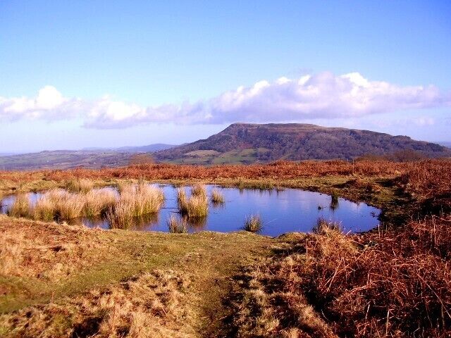 Pool and view of Skirrid Mountain This pool might be man-made. It would have been useful for pack animals to drink from if they came near here for carrying stone from the quarries.