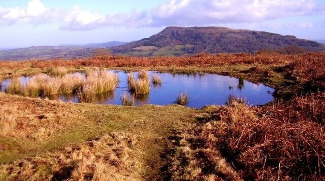 Pool and view of Skirrid Mountain This pool might be man-made. It would have been useful for pack animals to drink from if they came near here for carrying stone from the quarries.