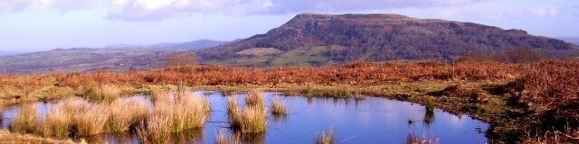 Pool and view of Skirrid Mountain This pool might be man-made. It would have been useful for pack animals to drink from if they came near here for carrying stone from the quarries.