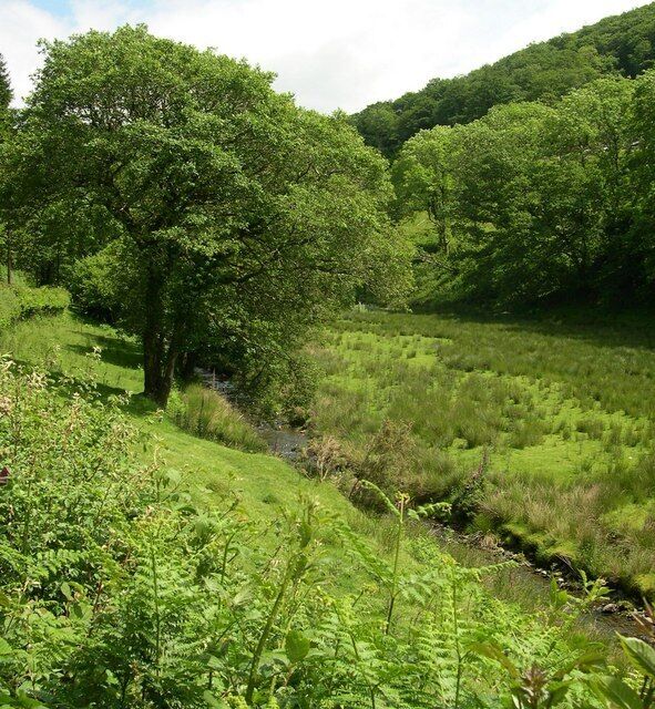 A lush green valley with a stream, dense trees, and a hill in the background.