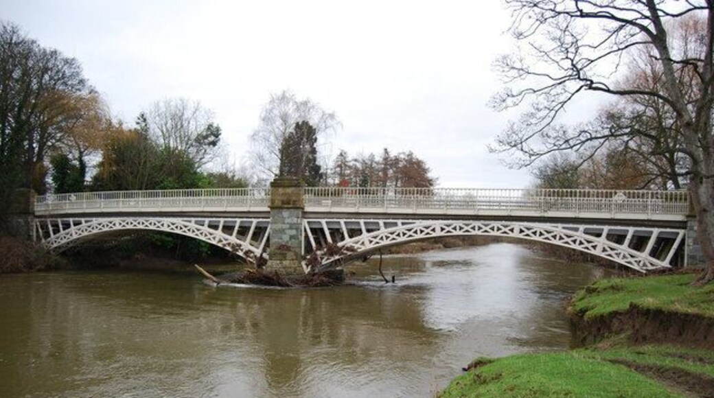 Perfection in cast iron By the mid 19th century the surveyors and iron masters working in the Welsh Marches had fine tuned the use of cast iron to produce magnificent bridges such as this one at Caerhowel. Their beautiful symmetry and fineness of structure had never been seen before, or since for that matter. This is one of the best that was made at The Brymbo Works. http://www.bhg.org.uk/BrymboHeritage/IndustrialHistory/Steelworks/Steelworks.htm The river in mid winter looks cold and menacing compared to the wonderful blues of summer.