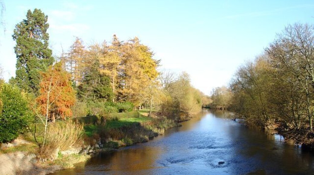 Downstream from Caerhowel bridge. The River Severn/Afon Hafren viewed from the centre of the bridge 611536.