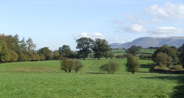 A green field with scattered trees and distant hills.