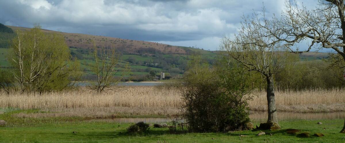 A grassy field with a small pond, trees, and a hill in the background.