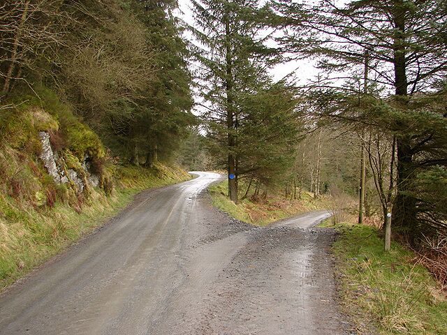 Forestry roads near Nanty Farm Part of a potentially confusing network of roads in the area.