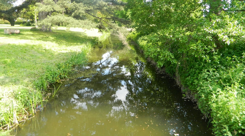 The River at Babraham
