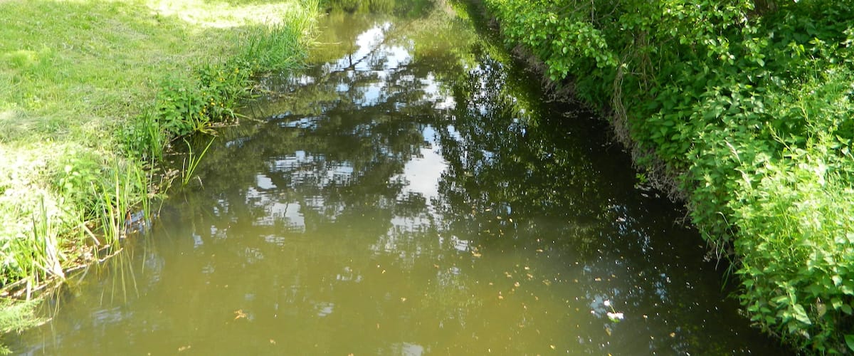 A calm river with lush greenery and trees reflecting in the water.