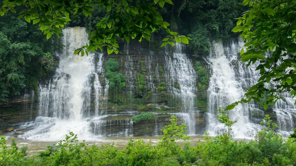 A multi-tiered waterfall surrounded by lush greenery.