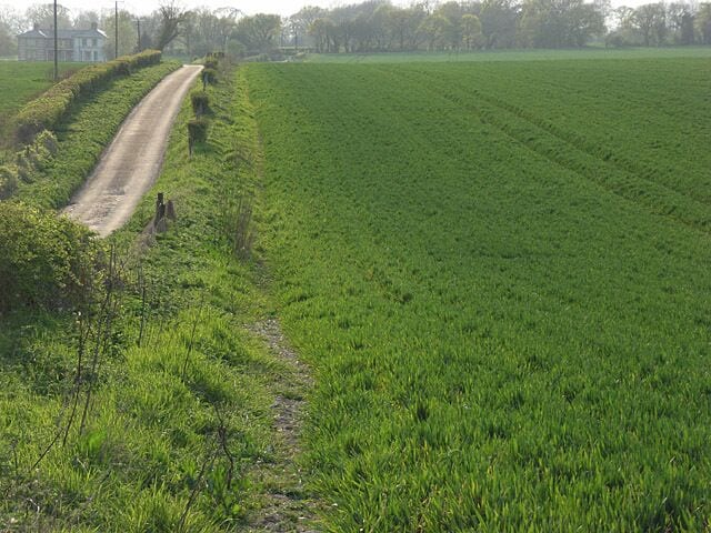 Farmland and lane, Hatherden Looking along to Wood View from Pigeon House.