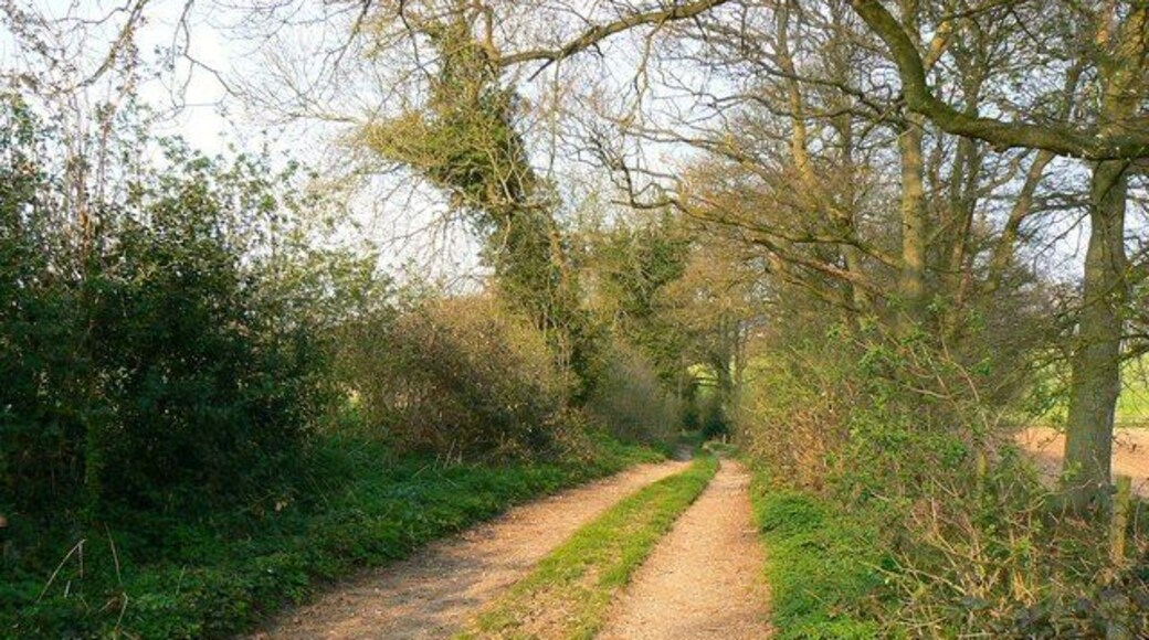 'Other route with public access', Tangley, Hants This leads to a byway called 'White Hill'.